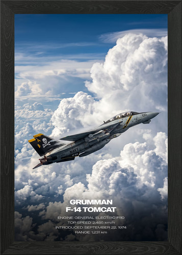 Grumman tomcat in clouds - f-14,