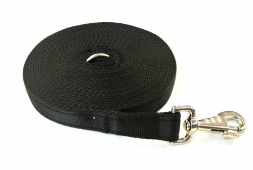 Black dog training lead - dog, horse