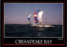 Chesapeake Bay Sailboats
