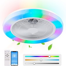 19.7 in Ceiling Fan with Light