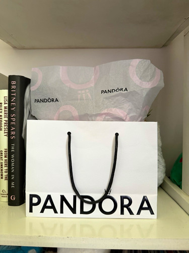 Pandora jewellery gift - jewellery, bag