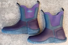 Grubs Winter SubFreezing Yard