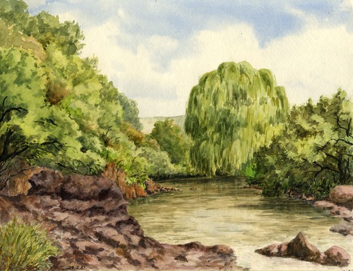 Lions river caversham natal - lions,