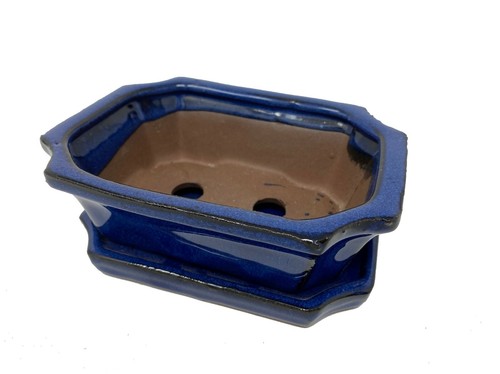 Quality bonsai pots with - bonsai,