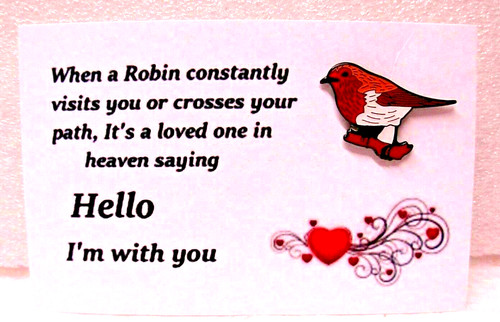 Robin pin badge - , on