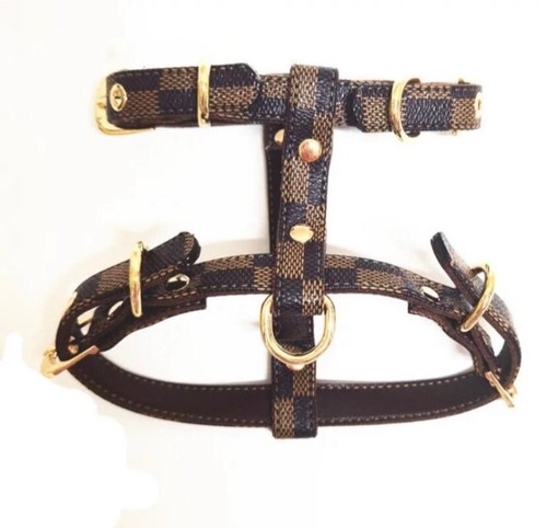 Brand new luxury leather dog - luxury,