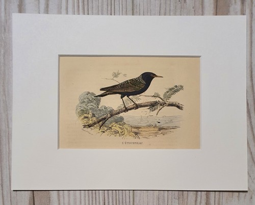 1852 lithograph art print wood - art,