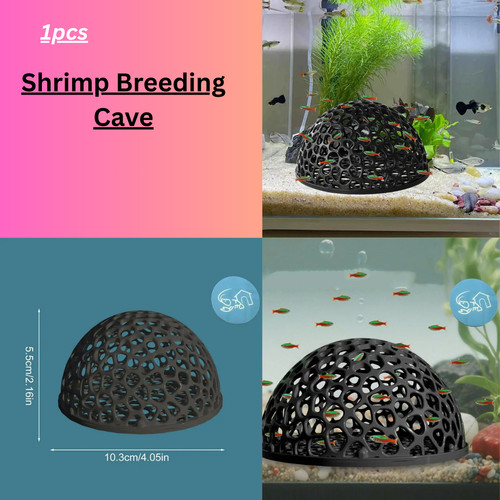 Shrimp breeding cave fish tank - shrimp,