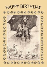 IRISH TERRIER 2 DOGS & DUCKS