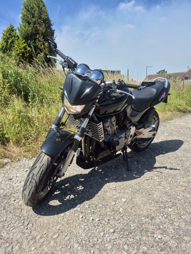 Honda cb600f hornet 1998 2006 - cb600f,