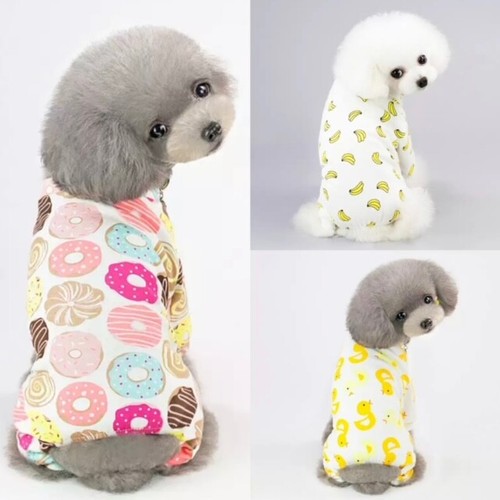 Dog pet cat - dog,