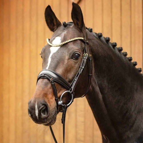 Passier bridle favorite - passier,