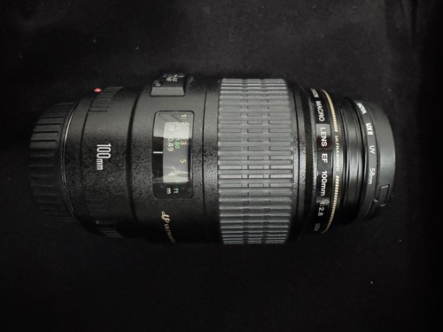 Canon 100mm 8 macro usm - f/2.8,
