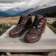 Clarks Active Air Goretex