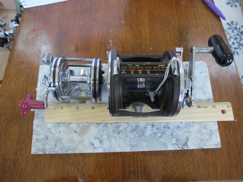 Daiwa sealine fishing reel - fishing,