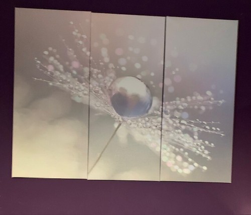 Stunning panel canvas - stunning, 3-panel