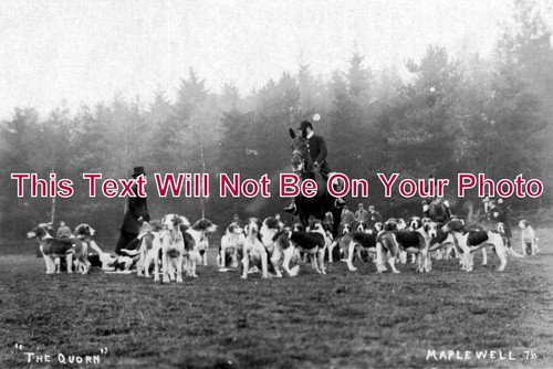 183 the quorn hunt - 183,