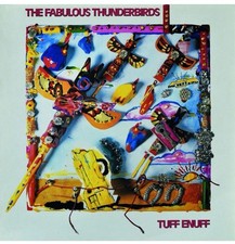 The FABULOUS THUNDERBIRDS -