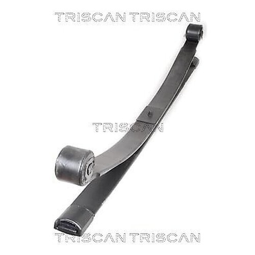 Triscan 8765 16036 spring pack - 16036,