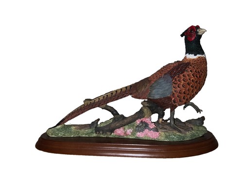 Pheasant from birds russell - pheasant,