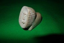 Vintage Soapstone Lion hand carved Soap Stone Africa sculpture figure figurine