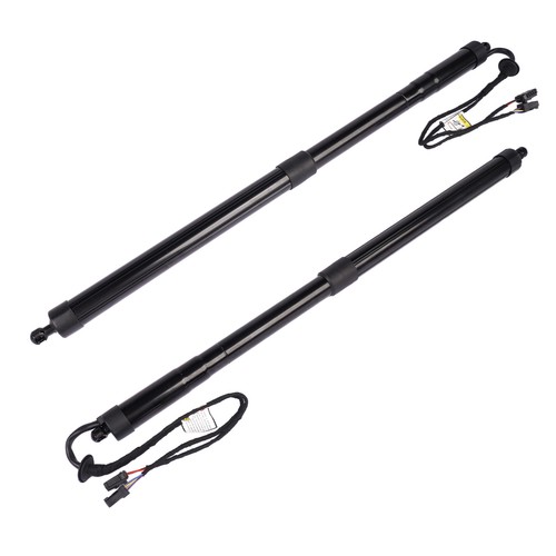 Tailgate powerlift rear set - 2x,
