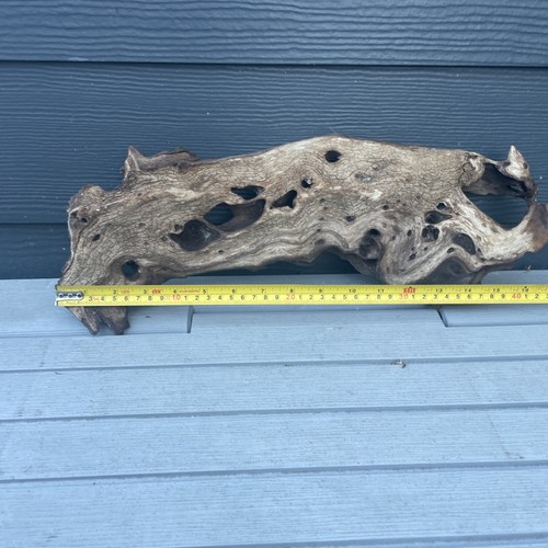 Aquarium bogwood 47cm 15cm - bogwood, x
