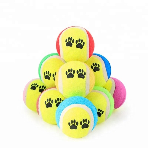 Dogs paw tennis balls - dogs,