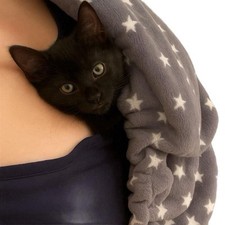 Bonding Scarf/ Sling For Cats & Kittens