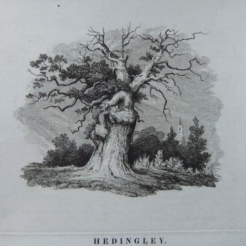 The shire oak hedingley - the, oak,
