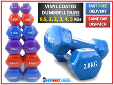 Vinyl dumbbells weights - vinyl, pair