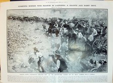 Old 1910 Jack Rabbit Drive