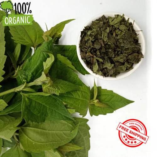 Pure mexican dream herbs - mexican,