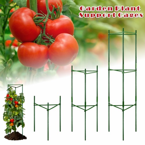 120cm climbing plant - climbing, support