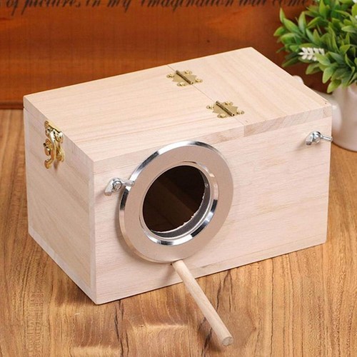 Bird nest breeding - nest, budgie