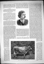 Antique Old Print Dog Fox