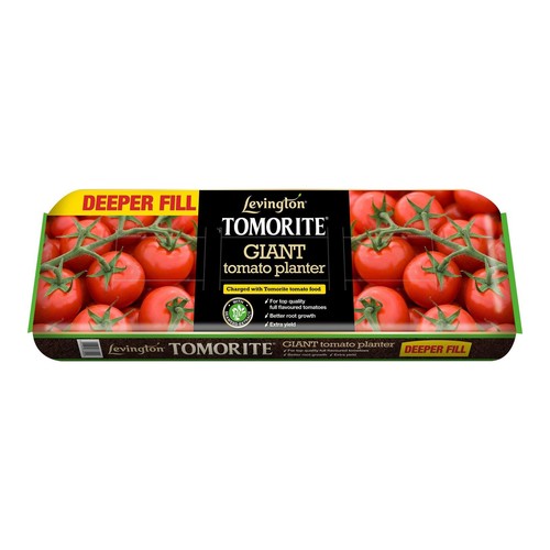 Levington giant tomorite - levington,