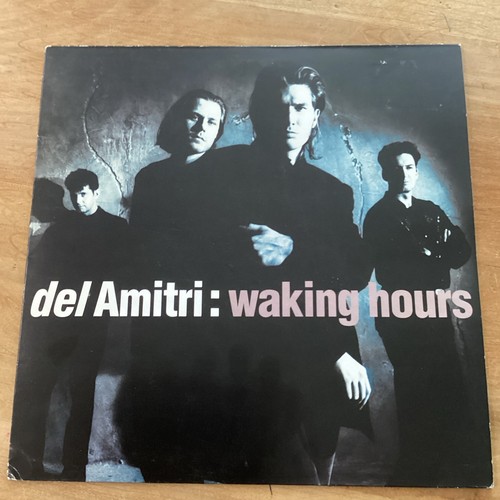 Del amitri waking hours vinyl - amitri,