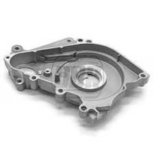 YX Lifan Zongshen Electric