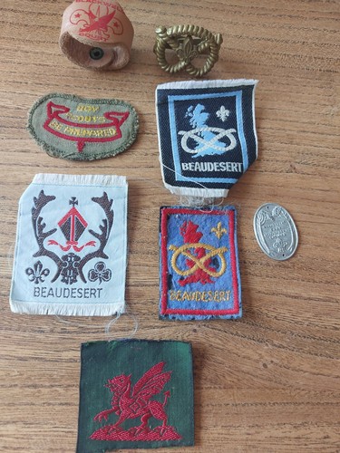 Vintage boy scouts beaudesert - boy,