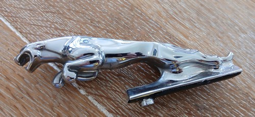 Vintage leaping jaguar - vintage, hood