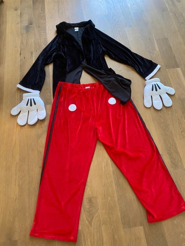 Official disney costume adult - official,
