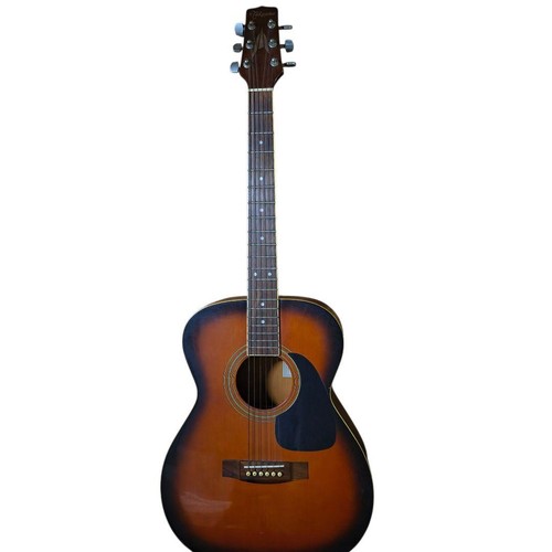 Takamine acoustic guitar - takamine,