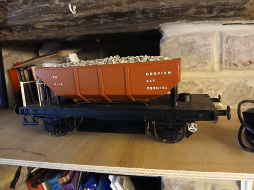 Gauge railway dogfish - 3,