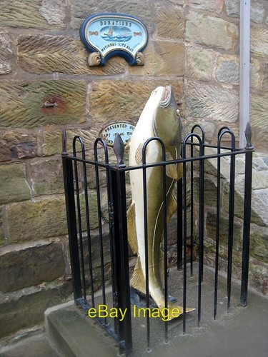 Photo 6x4 the - photo, fish