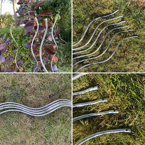 Tomato spiral supports - tomato,