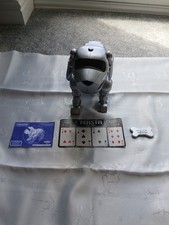 Teksta Robot Dog Card Tricks