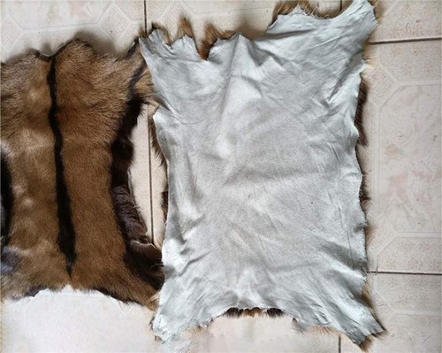 Pieces real goat skin pelt - 2,