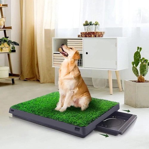 Indoor fake grass puppy - fake,