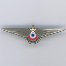 Sector 180 Ansoraa Air Drago Badge